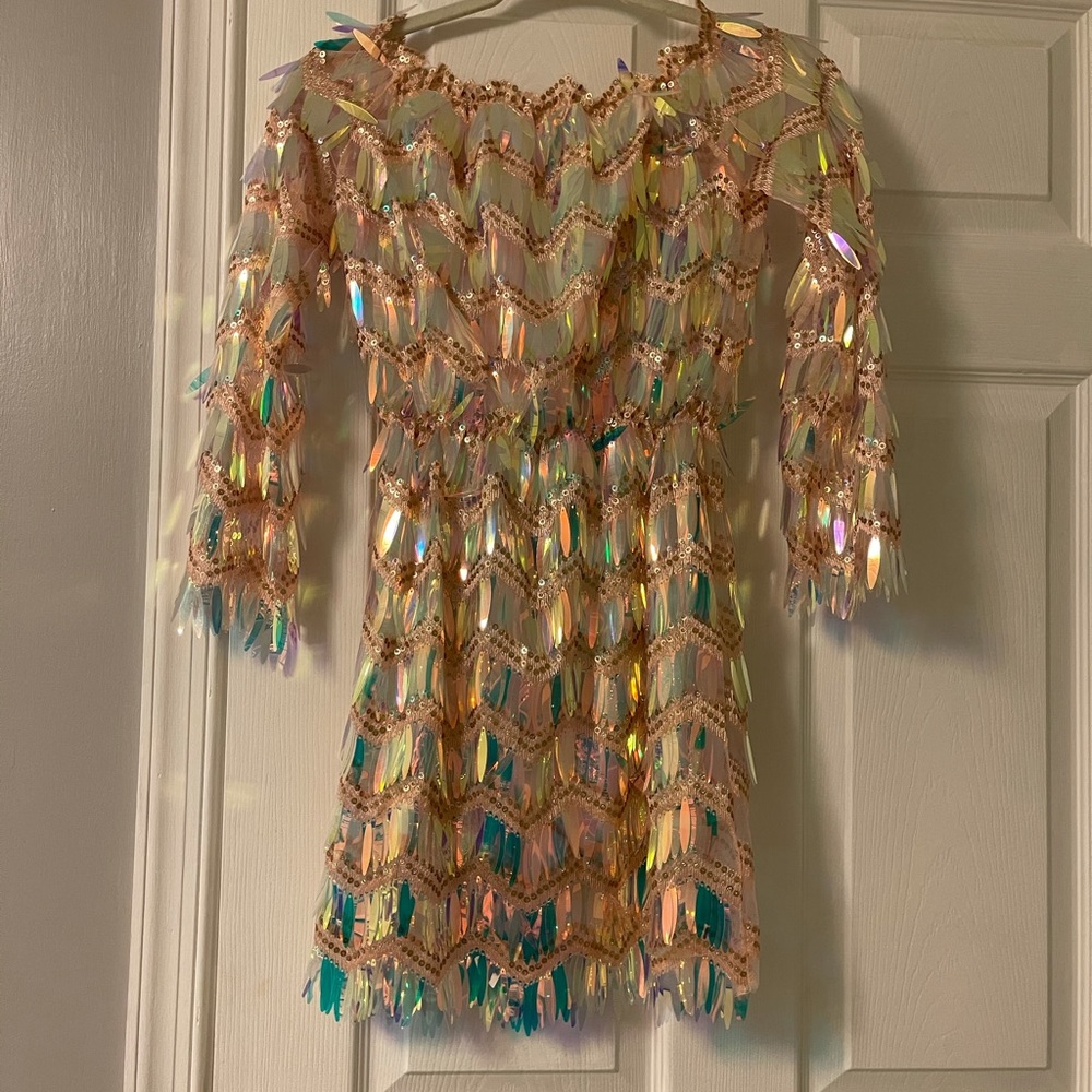 Shimmery Long Sleeve Mini Dress